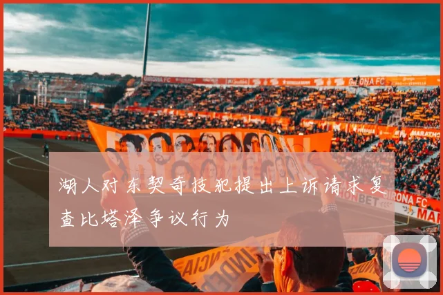 湖人对东契奇技犯提出上诉请求复查比塔泽争议行为